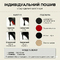 Професійні хілси Premier з натуральної шкіри, рептилія бургунді, з язичком — взуття для сучасних танців з відкритим носком та шнурівкою. Ботильйони для High Heels (хай хілс)., Вишневий натуральна шкіра, З язичком