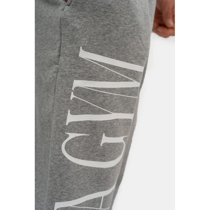 Спортивні штани Nebbia Beast Mode On iconic sweatpants Grey 186