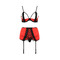 КОМПЛЕКТ НИЖНЕГО БЕЛЬЯ FEMMINA SET red S/M - Passion