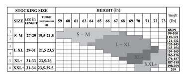 Панчохи білі Ballerina's Secret IVORY 20 den з мереживним верхом на силіконовій стрічці, S/M