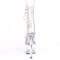 Чоботи Pleaser Adore-1020C *7 дюймів на підборах, 2 3/4 дюйма з PF шнурівкою спереду, прозорі