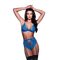 Комплект нижньої білизни з поясом для панчіх 3PC LACE & MESH BRA, GARTER & PANTY SET BLUE, S/M