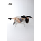 Шорты Venus Iconic CLASSIC для Pole Dance и Twerk из бифлекса с высокой посадкой