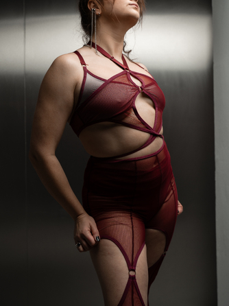 FRAME LEGGINS Burgundy mesh_ сітка бордо