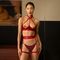 Комплект білизни UPKO Lingerie Set із золотими пестісами, червоний, One Size
