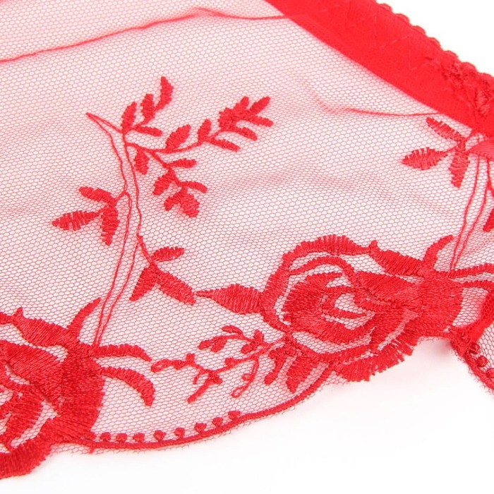 Красный сексуальный кружевной с вышивкой пояс для чулок и трусики, 2XL (без коробки)